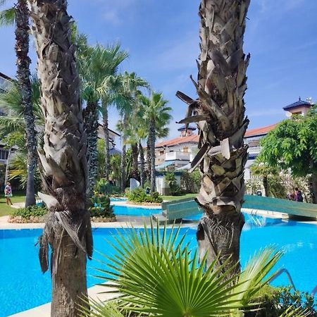 Sunny Apartment Costa Blanca La Mata (Torrevieja) Exterior foto